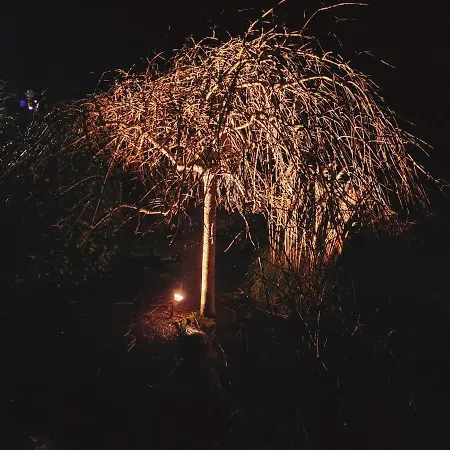 ホームステイ 'kealan' Luxury Double フォックスフォード